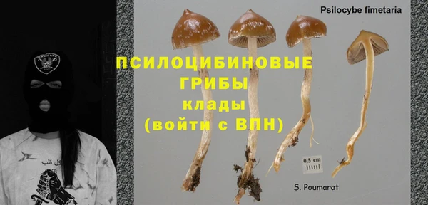альфа пвп Медвежьегорск