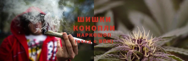 мдпв Мегион