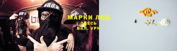 альфа пвп Медвежьегорск