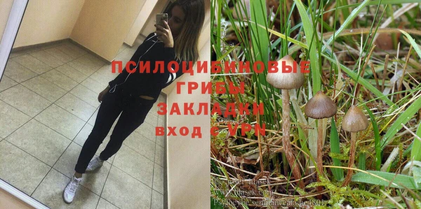 крисы Ступино