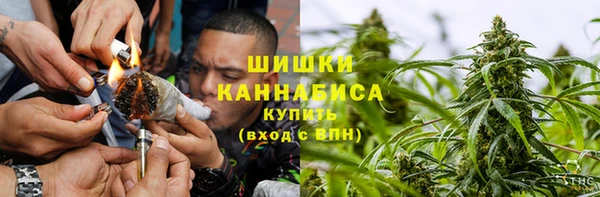 альфа пвп Медвежьегорск
