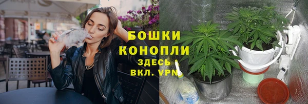 ешки Михайлов