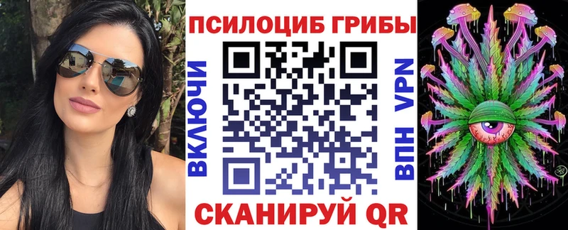 shop формула  MEGA   Псилоцибиновые грибы Magic Shrooms  Елец  продажа наркотиков 