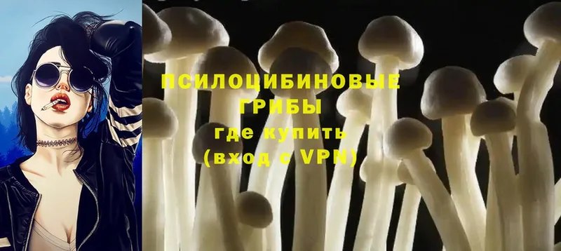 ОМГ ОМГ tor  Елец  Псилоцибиновые грибы Magic Shrooms 